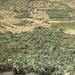 2009_03_30 (11)