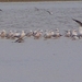 2009_03_30 (44)
