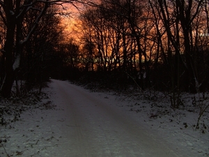 maandag ochtend wandeling 006