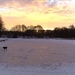 maandag ochtend wandeling 011