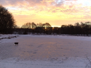 maandag ochtend wandeling 011