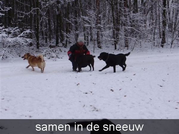 samen in de sneeuw