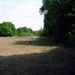 paarden