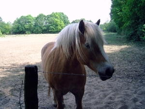 hallo hier ben ik dan