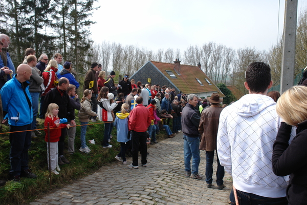 115rvv dames