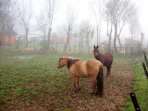 Rond camping Ypra in Kemmel