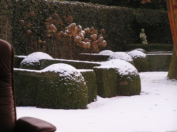 Winter in de tuin