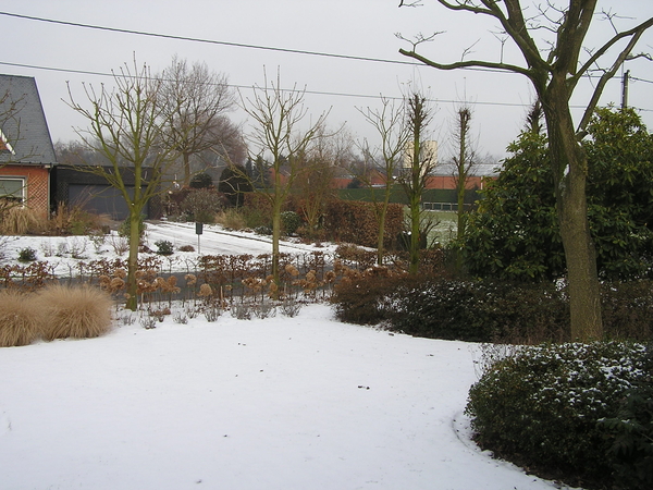 Winter in de tuin