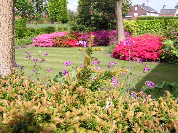 Meimaand-bloemenmaand