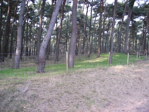 LOMMEL