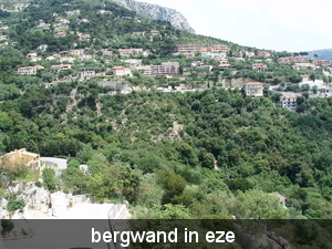 foto 10 eze ( cote d'azur )