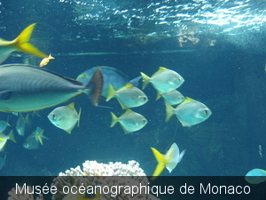 Monaco