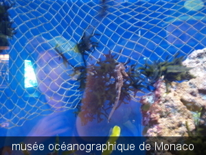 Monaco