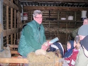 Lammetje fles geven in de Schaapskooi te Epen