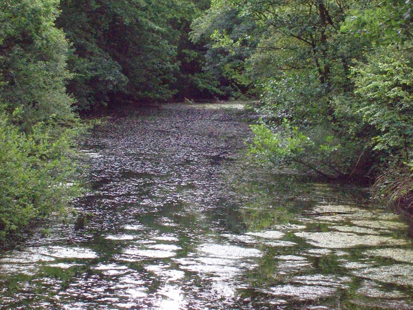 ANTI TANK GRACHT SCHILDE