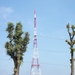 TV TOREN IN SCHOTEN