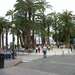 71 Parque de Elche 071