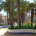 92 Parque de Elche 092