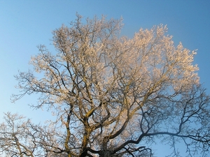 ardennen 2007 01 (30)