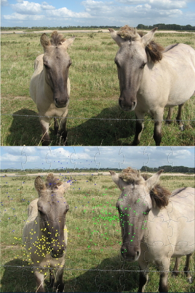 Paarden puzzel en origineel