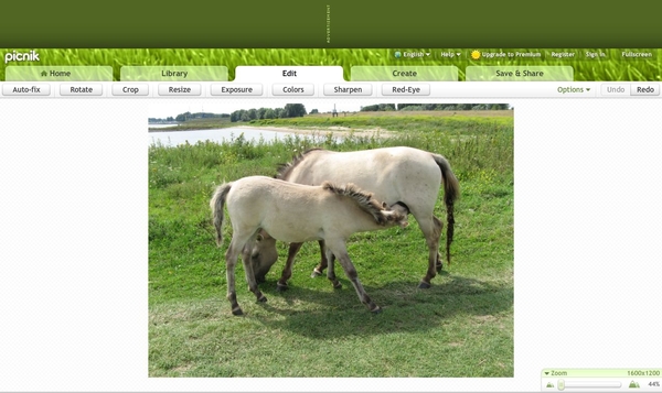 Picnik een handig foto bewerkings programma op internet