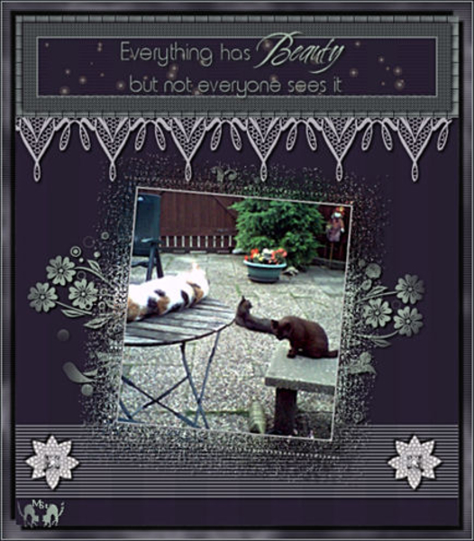 everything has beauty