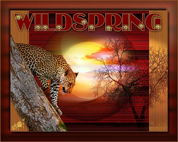 wildspring