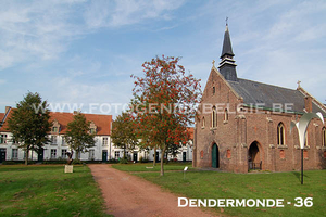 dendermonde 36