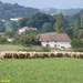 2007 schapenkaas 5