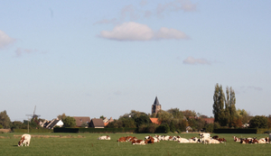 IMG_361111