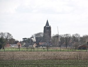 IMG_4619_3