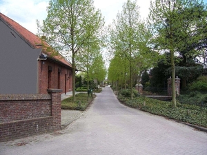 Dreef weelde