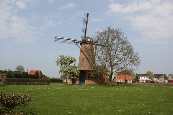 Molen weelde