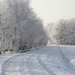 winterzicht