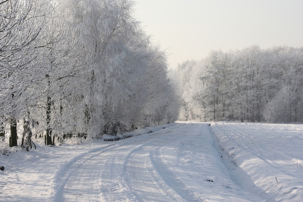 winterzicht