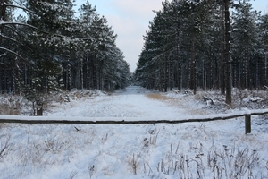 winterzicht