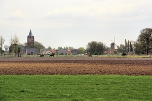 weelde