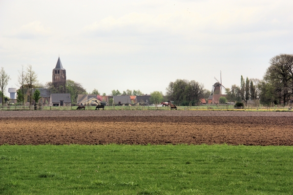 weelde
