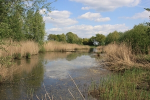 waterzuivering weelde