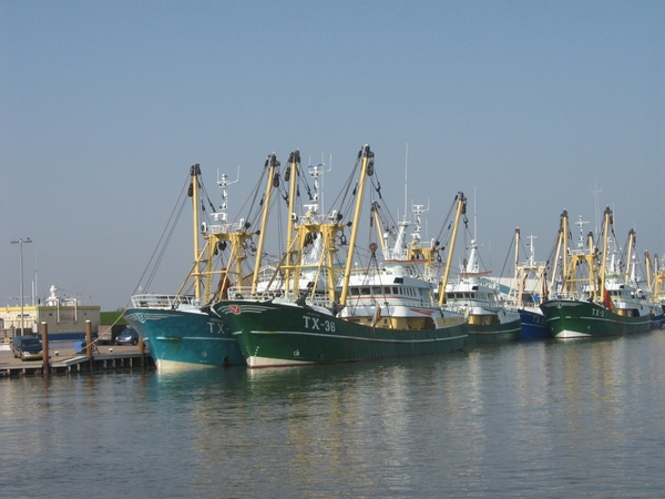 TEXEL  03-04-2009 -- VISSERSSCHEPEN
