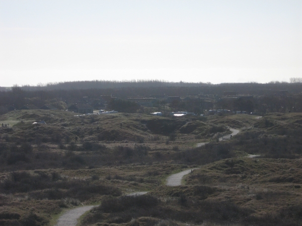 TEXEL  03-04-2009 Duinen in De Cocksdorp