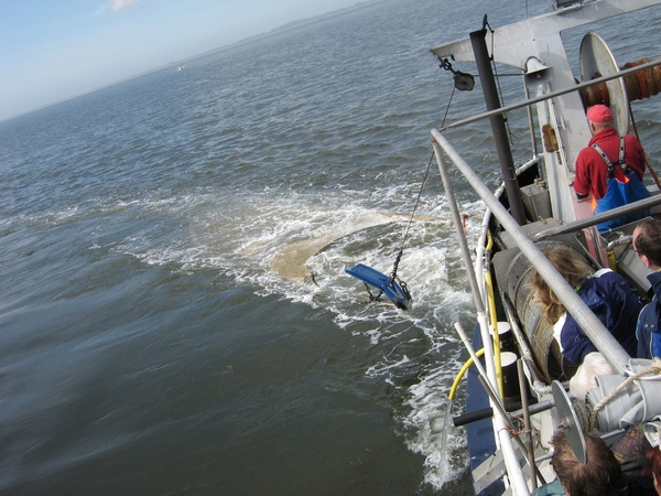 TEXEL  03-04-2009 --- Garnaalvissen op de Wadden