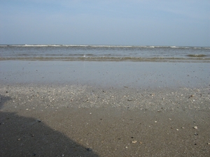 TEXEL  03-04-2009 -- De Wadden zee in De Cocksdorp