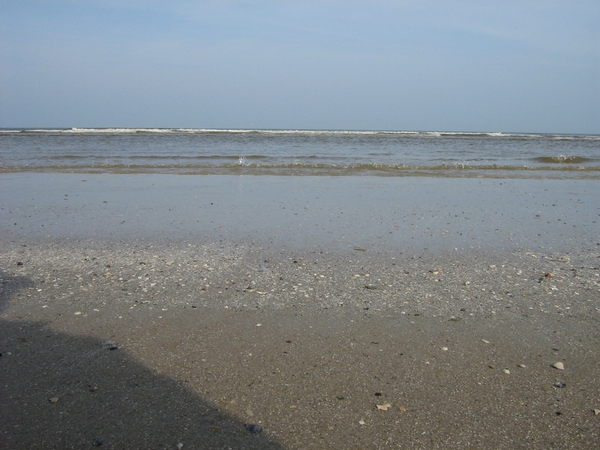 TEXEL  03-04-2009 -- De Wadden zee in De Cocksdorp