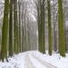 sneeuw 3 jan 001