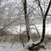 sneeuw 3 jan 010