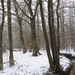 sneeuw 3 jan 030