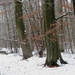 sneeuw 3 jan 041