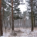 sneeuw 3 jan 019