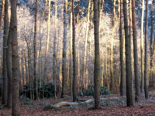 winter 016